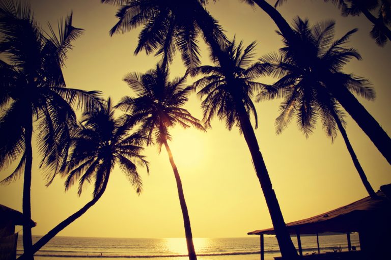 15 Best Beaches in Goa to Enjoy with Distance, Activities list