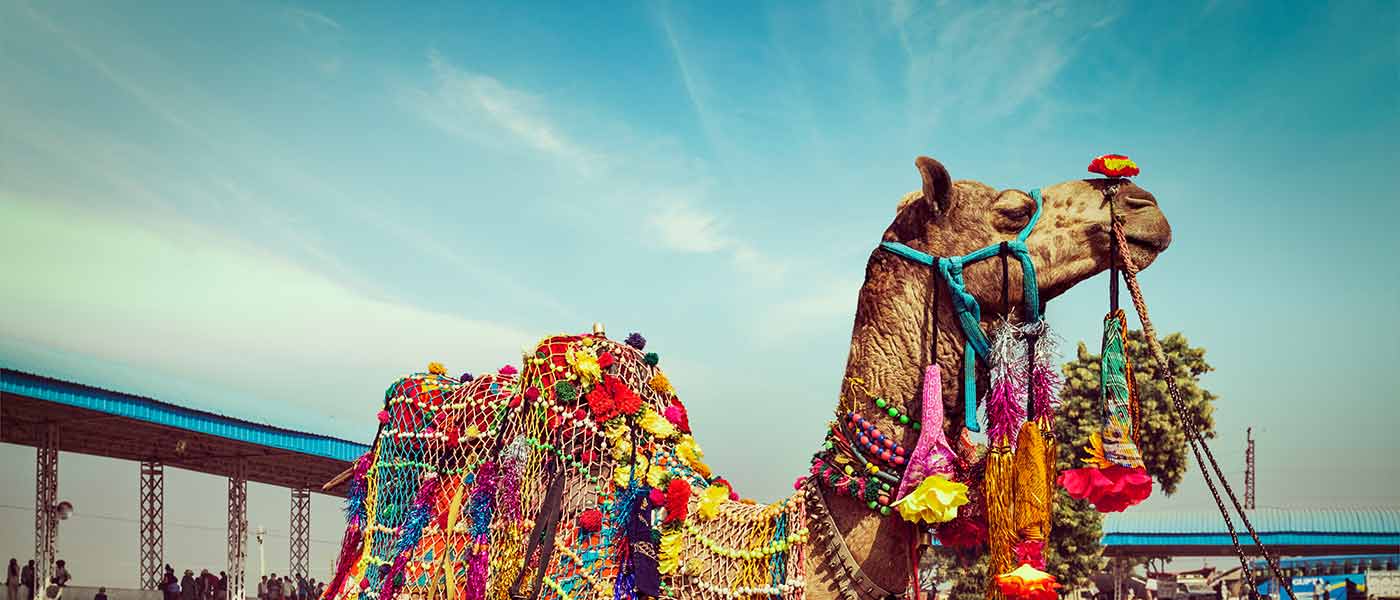 Pushkar Fair 2024 Dates, Activities & Cultural Performances