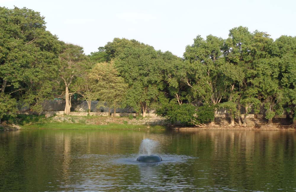 Parks and Wildlife Areas | Bangalore