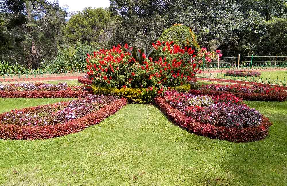 places to visit near botanical garden ooty