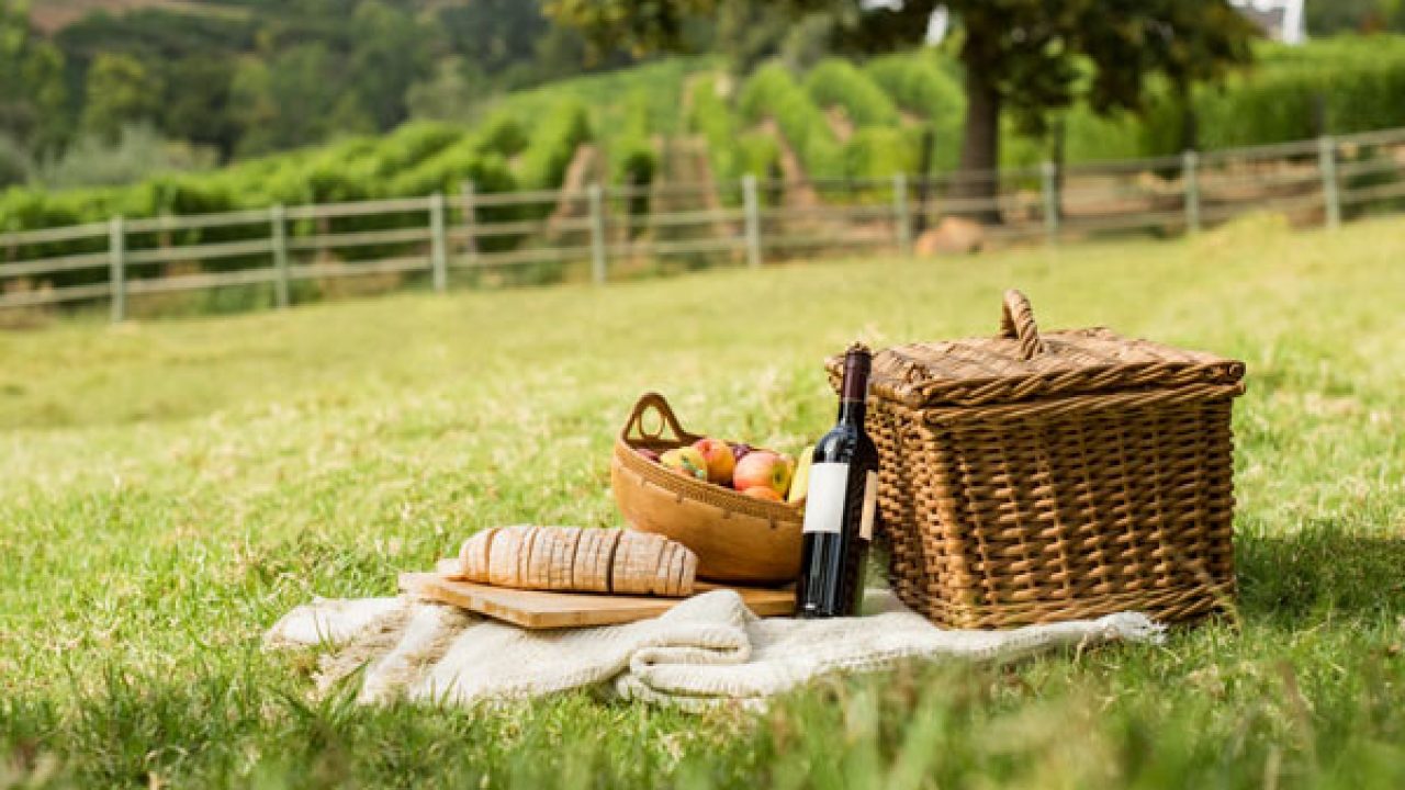 15 Picnic Spots Near Pune For A Day Full Of Fun Fabhotels