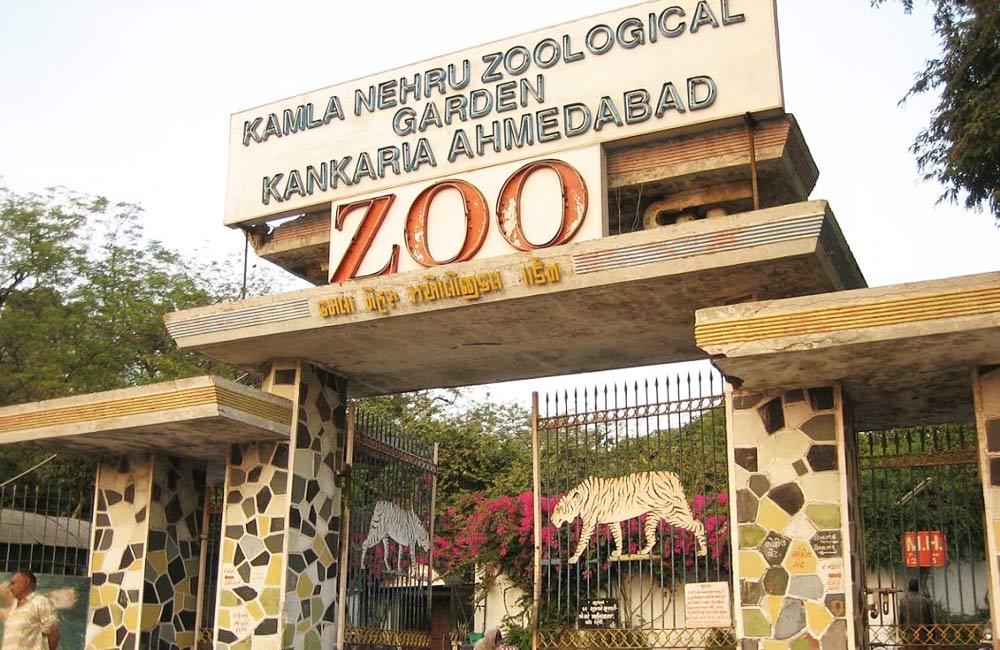 Kankaria Zoo | Among the Best Tourist Places in Ahmendabad