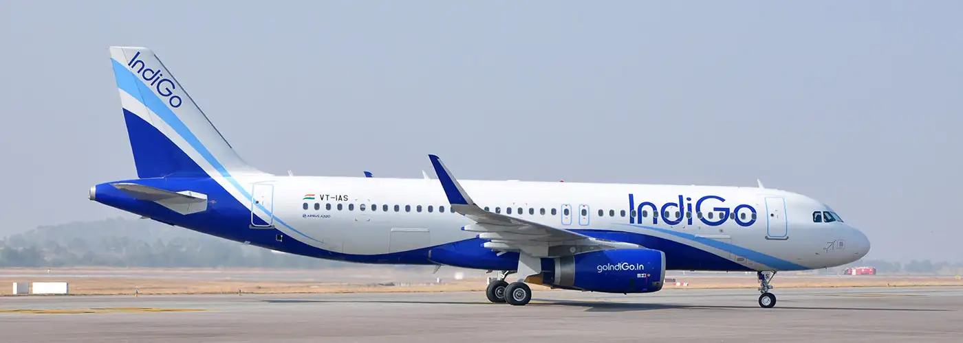 Indigo baggage best sale check in online