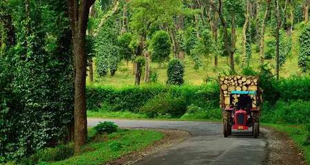 20 Tourist Places to Visit in Coorg 2024: ✓Location, Timings