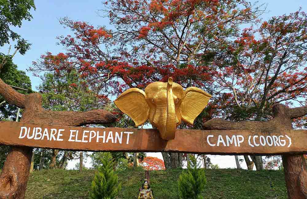 Dubare Elephant |  | 2 Days Itinerary Coorg