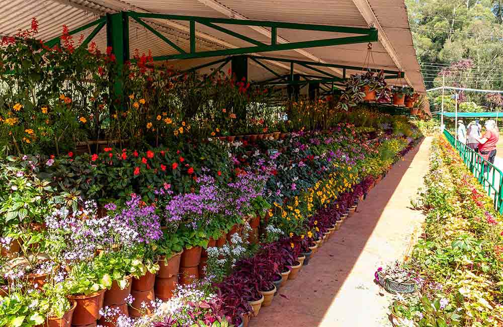 Government Botanical Garden | 2 days Itinerary Ooty