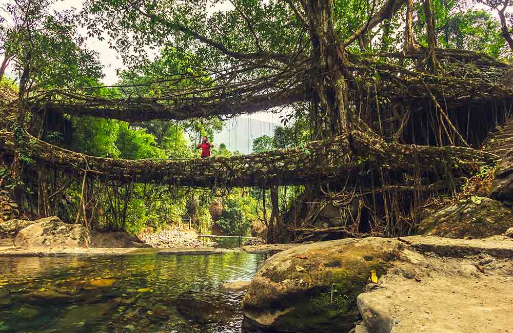 30 Best Places to Visit in Meghalaya That You Can't Miss in 2024