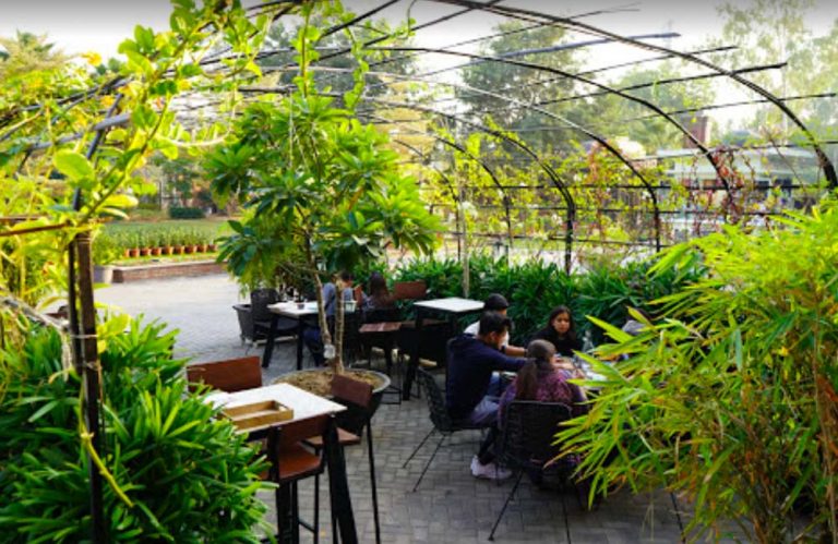 16 Best Cafes in Gurgaon (2022) - FabHotels