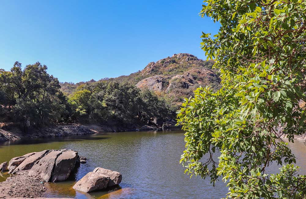 12 Tourist Places To Visit Near Mount Abu For A Weekend Trip 2024